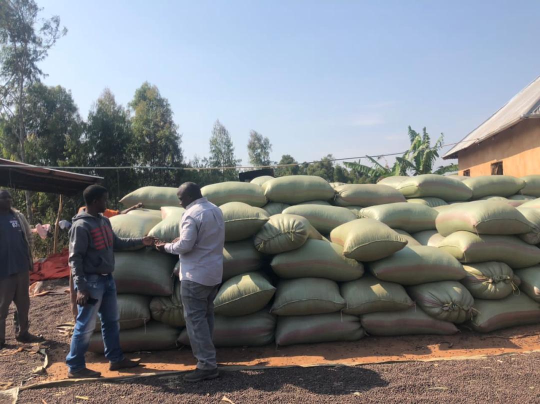 Farm to Export
