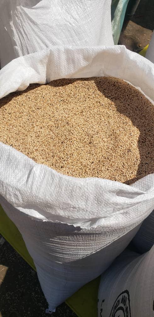 Sesame